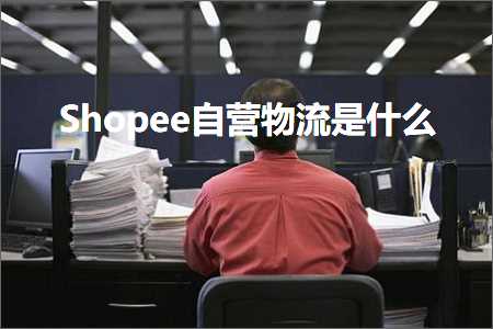 楚雄网站推广 跨境电商知识:Shopee自营物流是什么